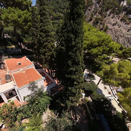 Schiattarella * Capri